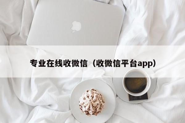 专业在线收微信（收微信平台app）